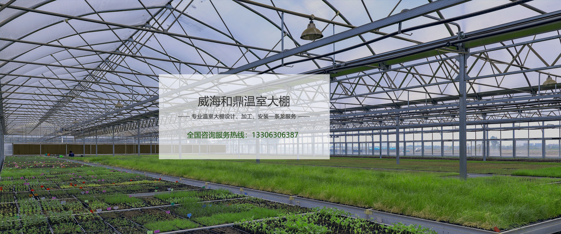 和鼎温室大棚
